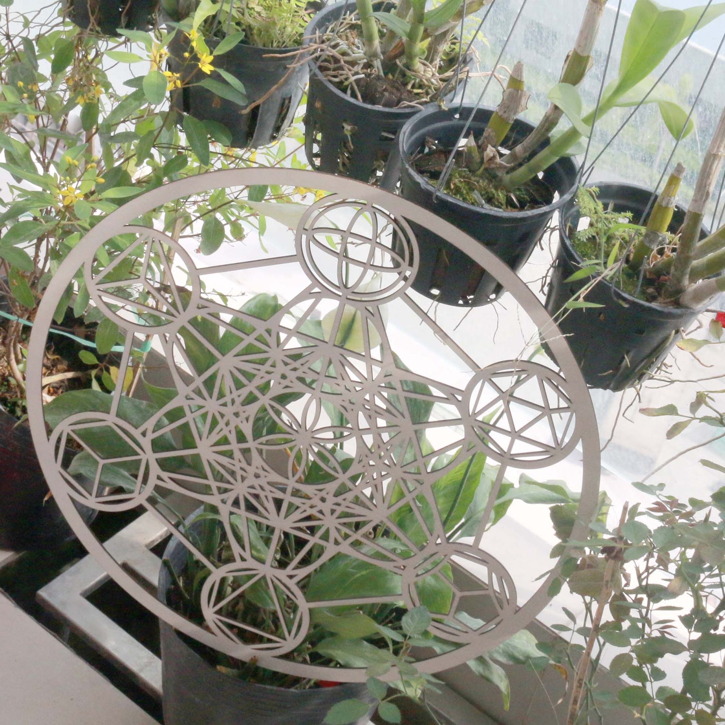 Metatron | Tennis - Thiền | Tennis Phú Mỹ Hưng